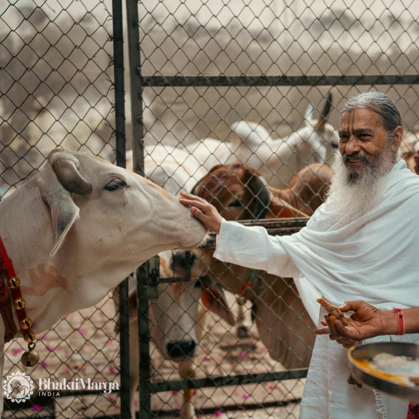 GOPASHTAMI 2025
