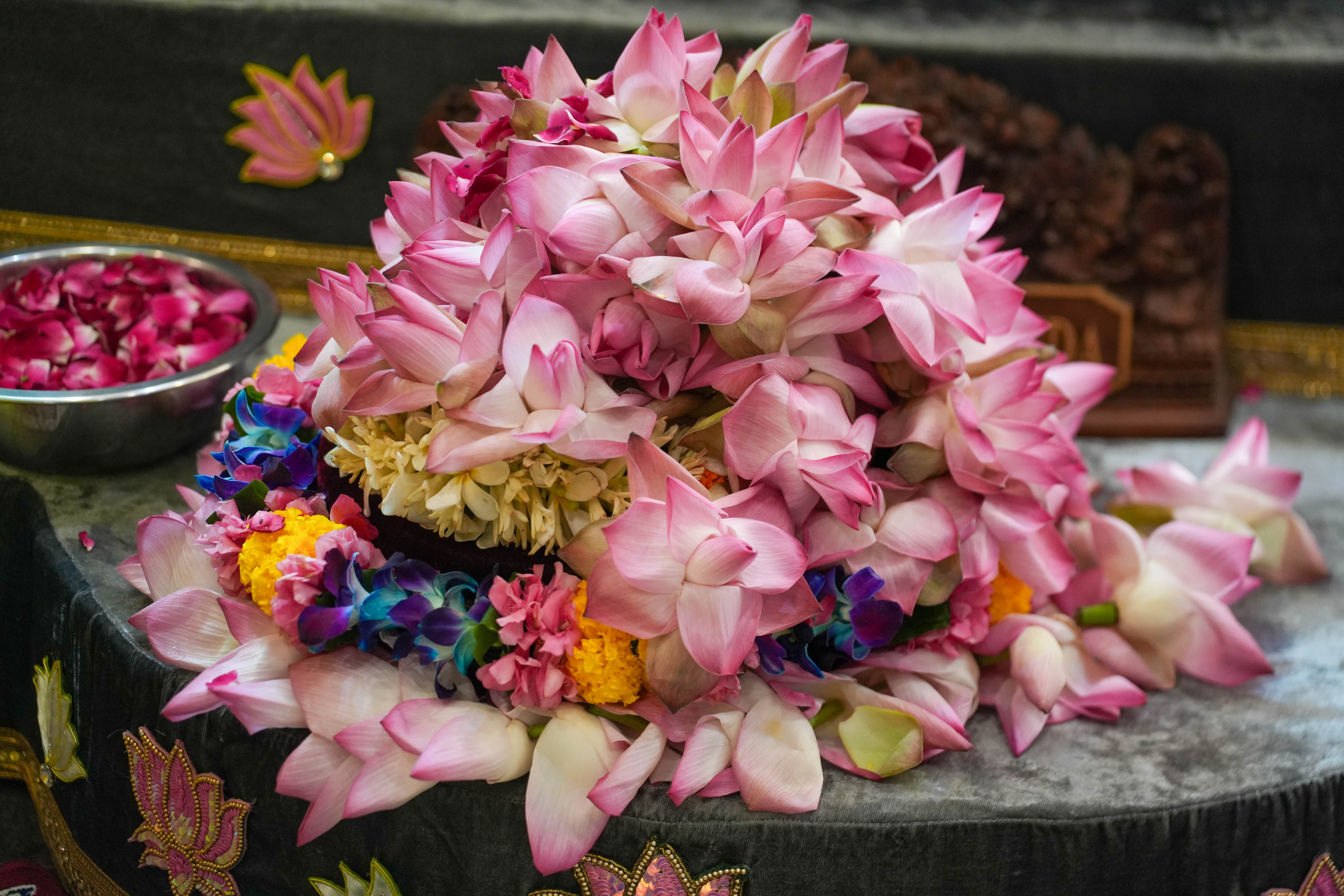 Guru Purnima in Vrindavan