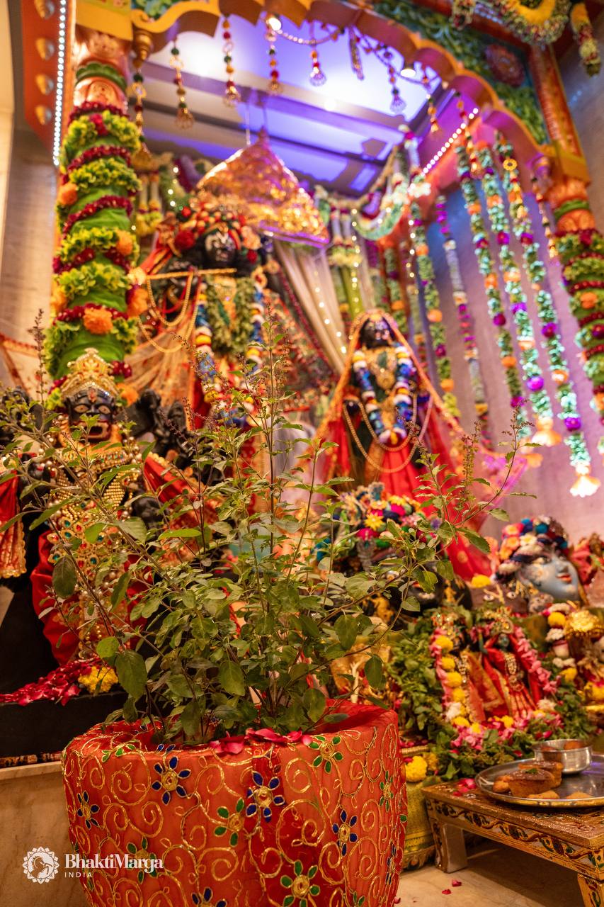Tulsi Vivah 2026
